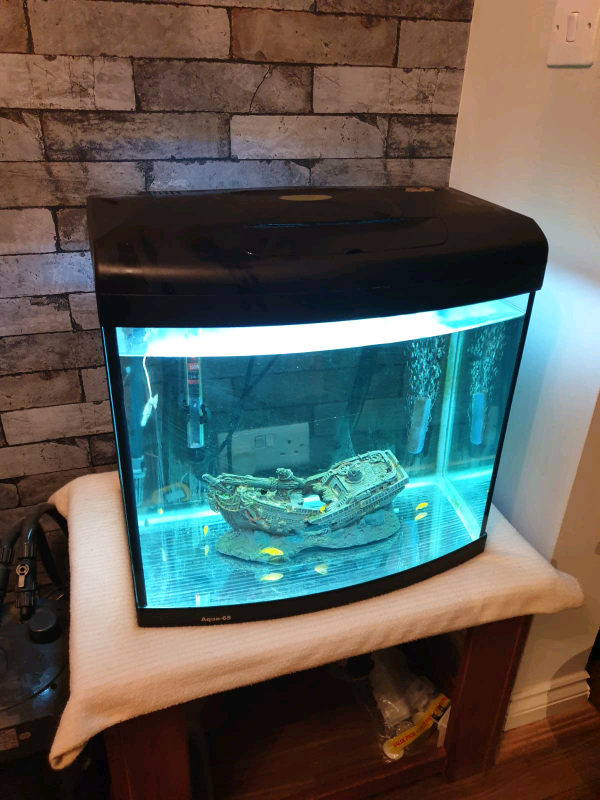 Fish tank £20 and established external filter£40 for sale