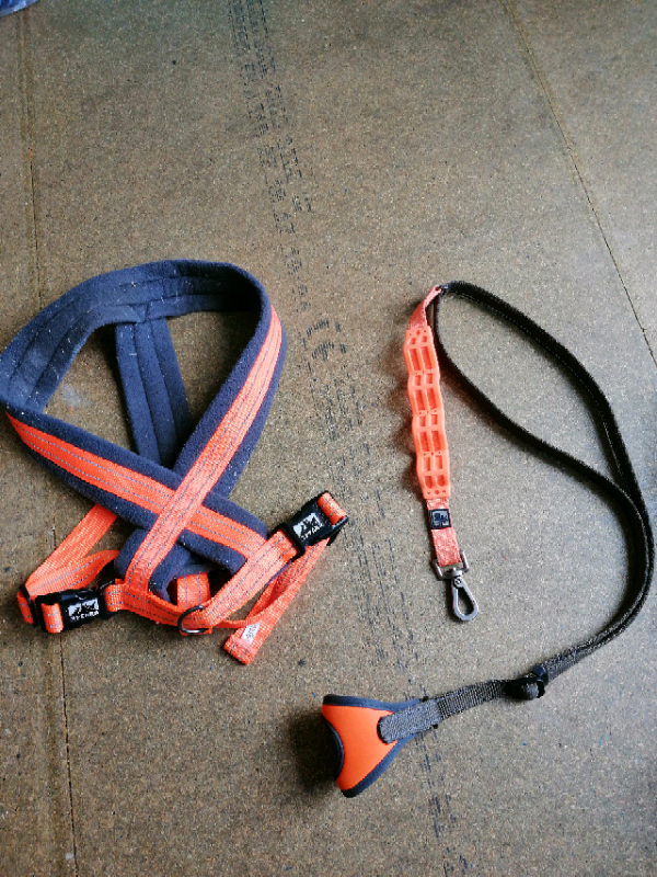 3 peaks dog harness and lead attachment in Norwich, Norfolk Gumtree