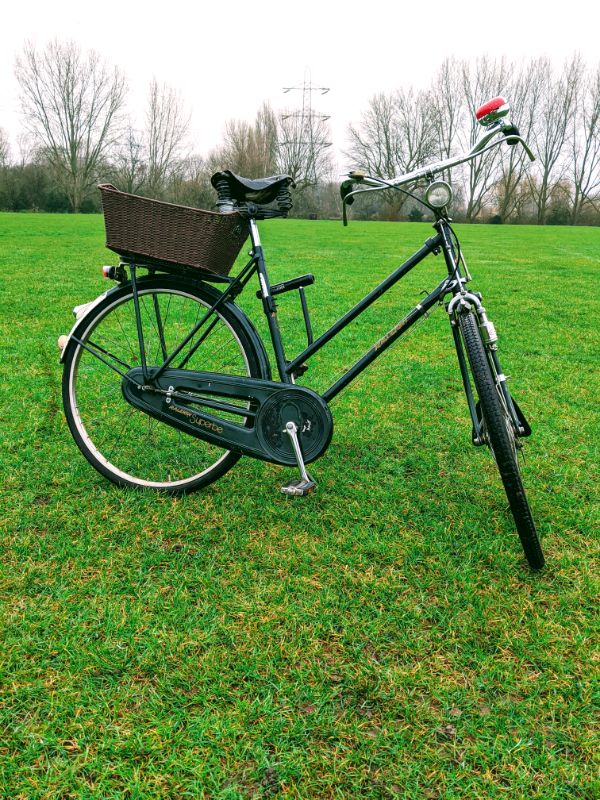 Vintage 1974 Raleigh Superbe women's bike in Leyton, London Gumtree