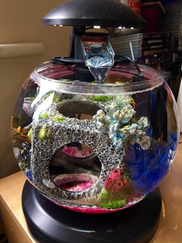 Waterfall Fish Tank Aquarium ( not Biorb Bi Orb ) in Leicester