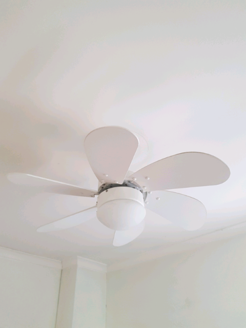 Little Max 75cm 6 Blade Ceiling Fan With Light Lamps