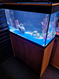 Fish tank Fluval Rio 125 tank with LED light and cabinet 