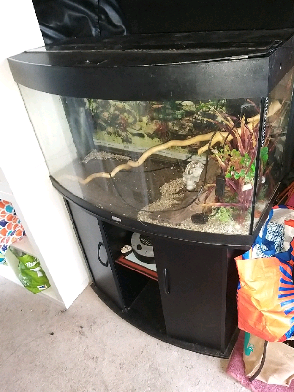 3ft Fish Tank in Gnosall, Staffordshire Gumtree