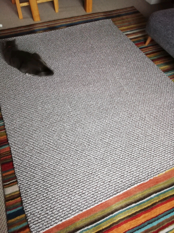 Brand new carpet off cuts in Norwich, Norfolk Gumtree