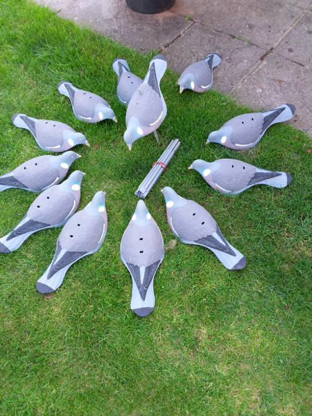 Pigeon Decoys for sale in UK | 69 used Pigeon Decoys