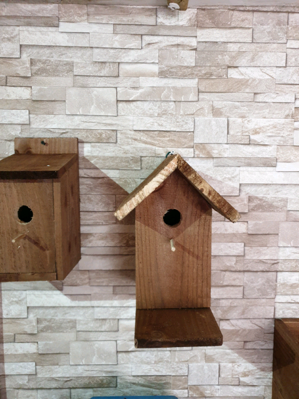 Bird house | in Newcastle, Tyne and Wear | Gumtree