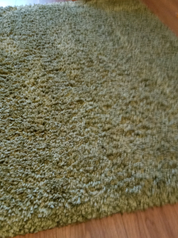 Green rug, dunelm in Bathgate, West Lothian Gumtree