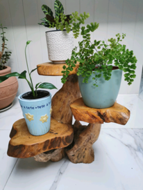 Plant Stand In Norfolk Furniture Homeware For Sale Gumtree