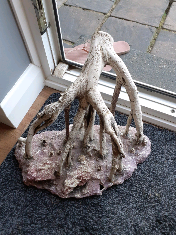 Tree root decoration in Ipswich, Suffolk Gumtree