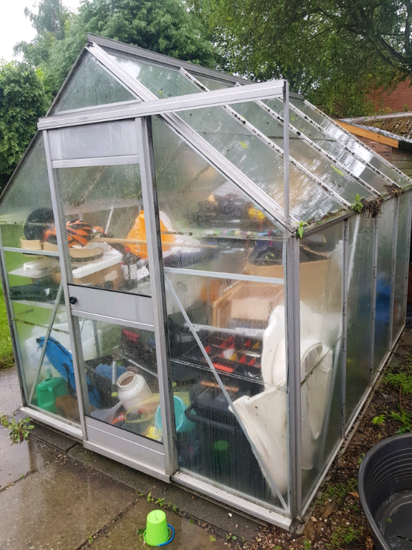 8 x 6 glass greenhouse in Oadby, Leicestershire Gumtree