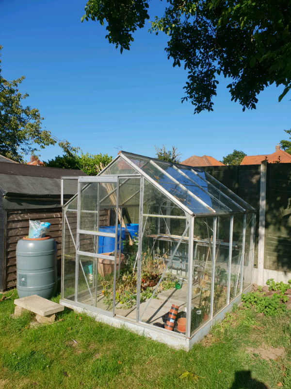 Greenhouse in Ipswich, Suffolk Gumtree