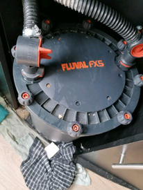 Fluval Fx6 Gumtree