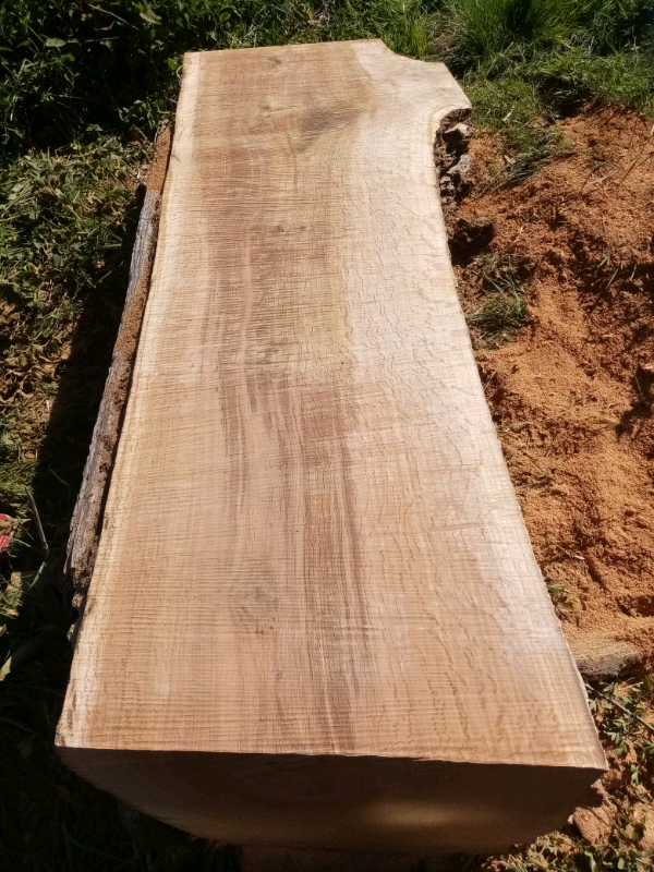 Timber slabs and rounds in Kelty, Fife Gumtree