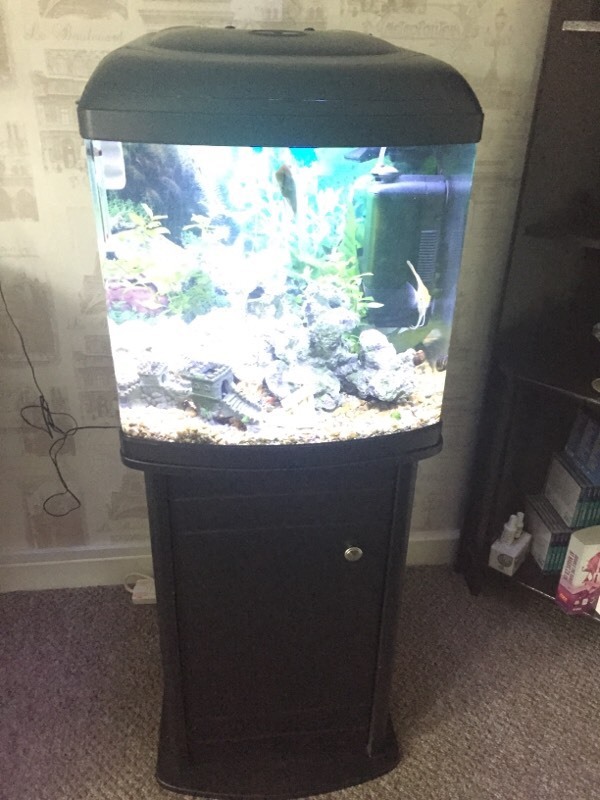 Very Cheap Aquarium for sale with 8 beautiful Fish in Birmingham City