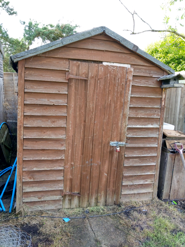 8 x 6 Shed | in Norwich, Norfolk | Gumtree