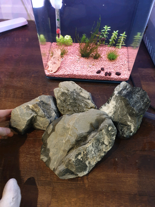 8kg natural grey stone aquarium rocks in Gateshead, Tyne and Wear