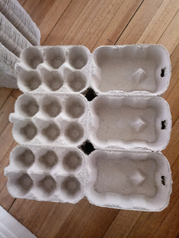Egg boxes 45 x ½ DOZEN NEW GREY CARTONS BOXES FOR DUCK CHICKEN eggs