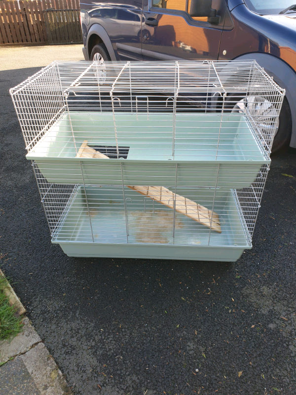 Double Rabbit Guinea Pig Indoor Cage in Ayr, South Ayrshire Gumtree