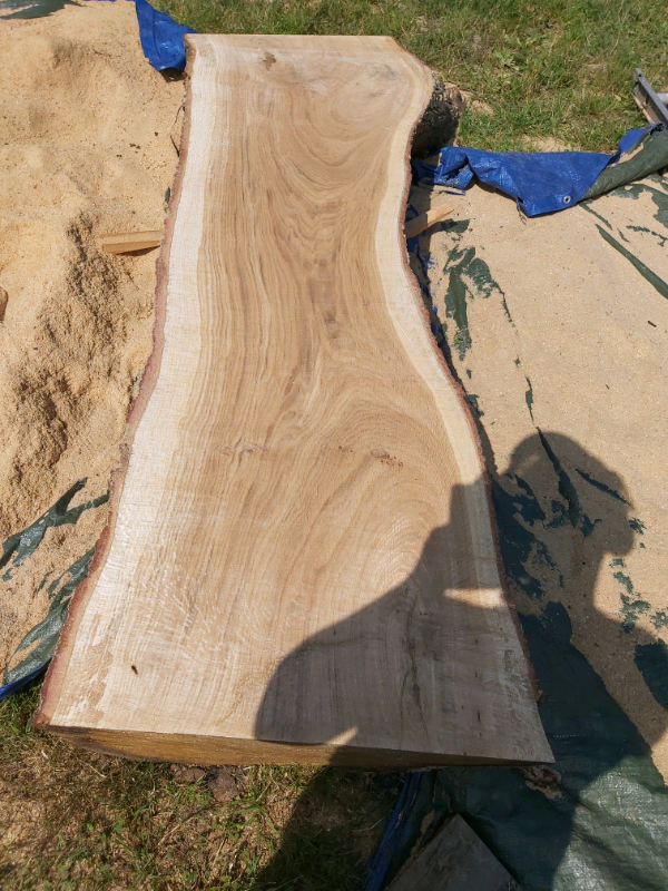 Oak & elm slabs live edge in Beverley, East Yorkshire Gumtree