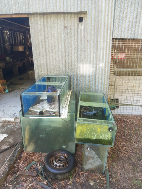 Fish tank for sale make offers | Fish | Gumtree Australia ...