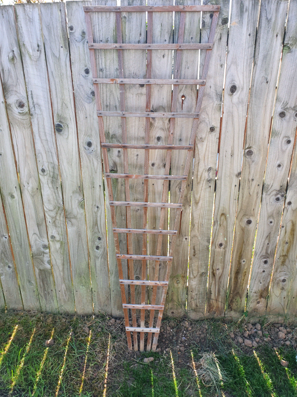 6ft triangular garden trellis in ingleby barwick, county