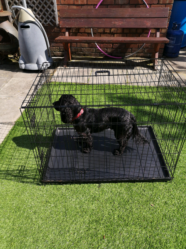 Dog cage in Prenton, Merseyside Gumtree