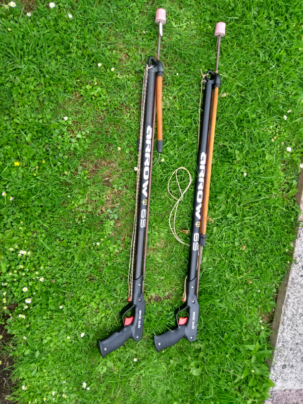 Spearfishing Guns in Plymouth, Devon Gumtree