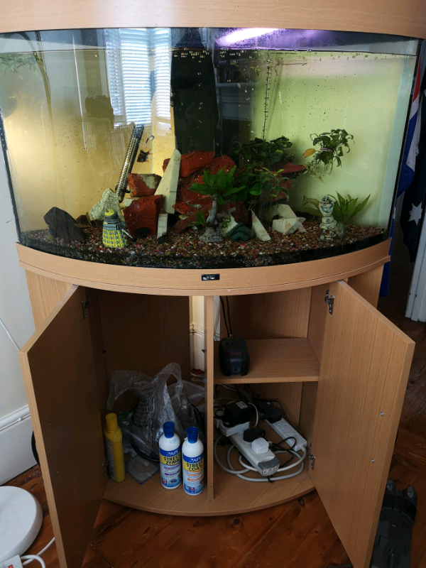 Juwel Trigon 190 fish tank in Ealing Broadway, London Gumtree