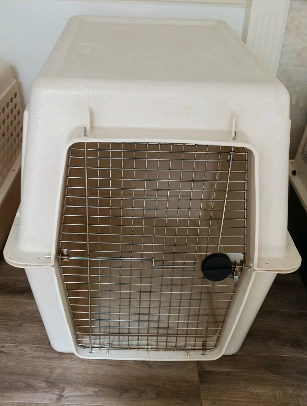 xxl dog travel crate in Woking, Surrey Gumtree