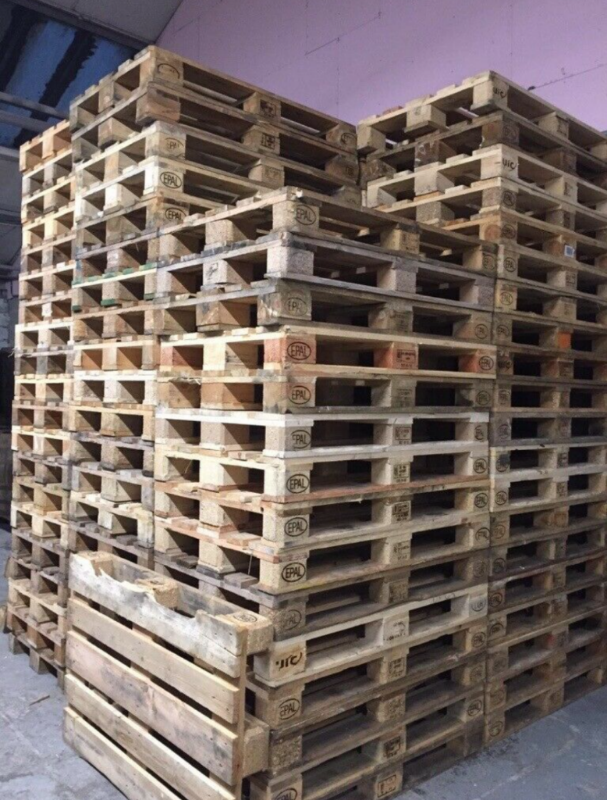 Euro Pallets Standard Pallets Blue/Red 80x120 100x120 in
