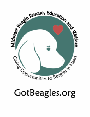 Midwest Beagle Rescue, Education and Welfare