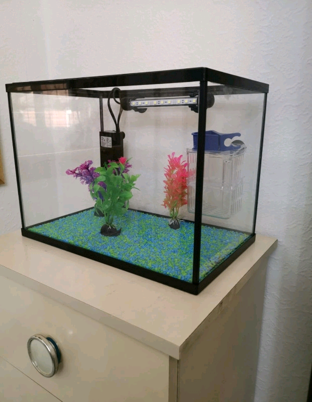 2X SMALL FISH TANKS in Handsworth, West Midlands Gumtree