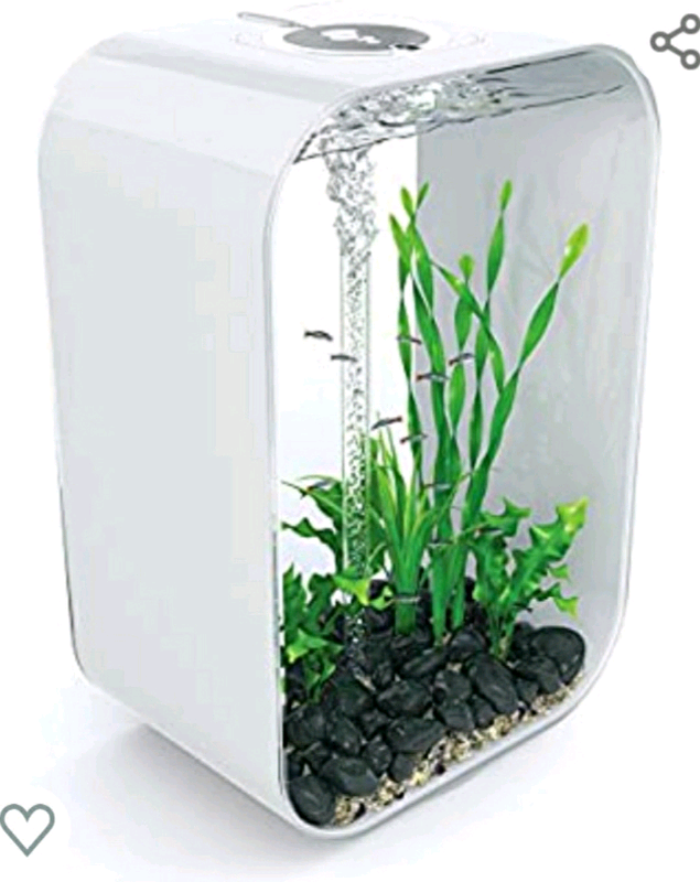 Biorb 60 Litre Life Aquarium Fish Tank in Lurgan, County Armagh Gumtree