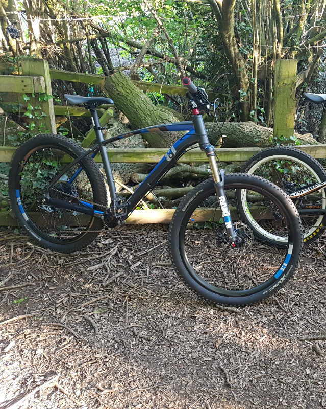 custom mountain bikes for sale