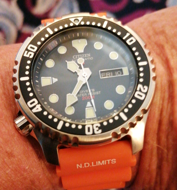 citizen pro diver automatic
