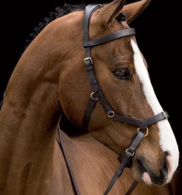 HORSEWARE Trensenzaum Micklem Multi