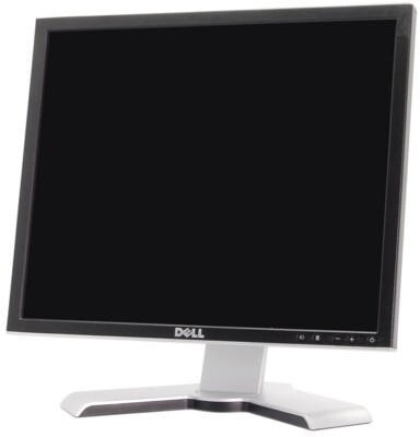 Dell Monitor 19