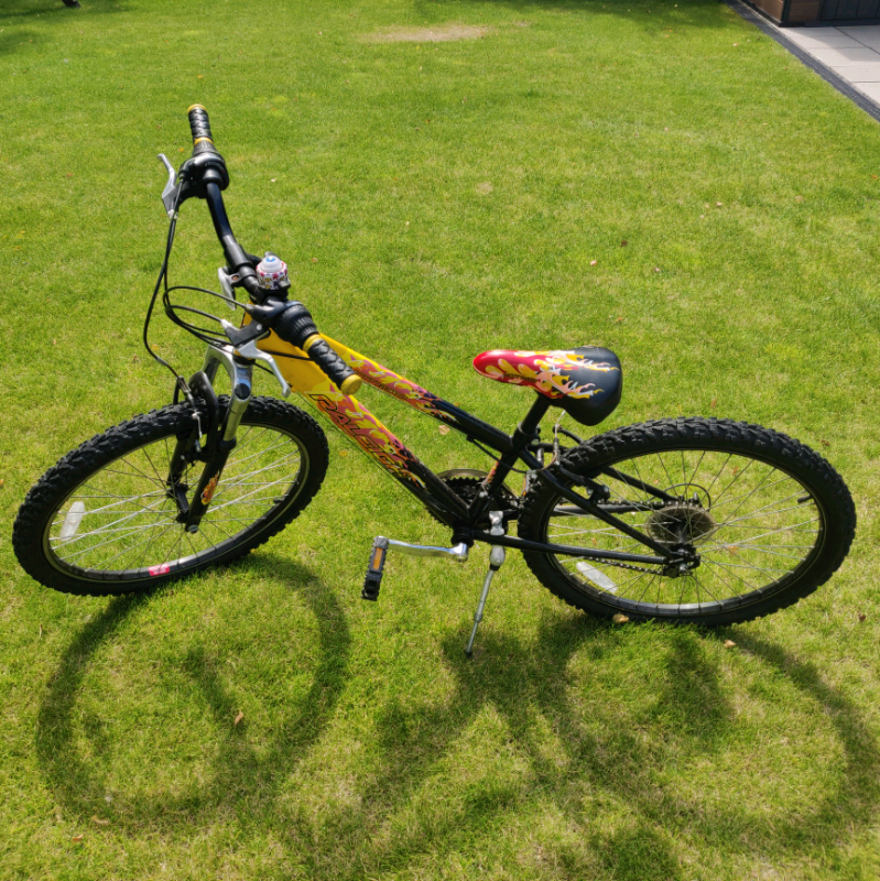 raleigh 24 inch bike
