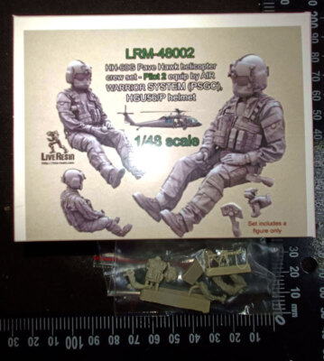 Live Resin 1/48 HH-60G Pave Hawk Helicopter Crew set - Pilot 2