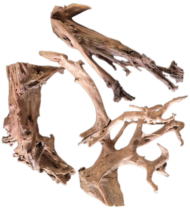 Mangrovenwurzel Mangrove Aquarium Terrarium Naturprodukt gestrahlt 40x60cm 1 St.