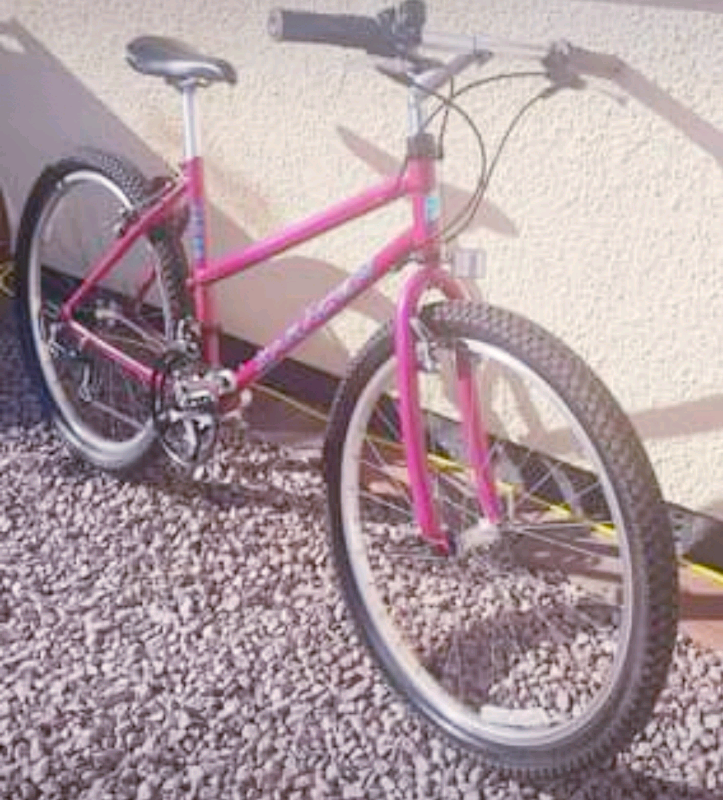 girls pink mountain bike