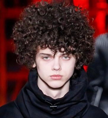 Brown Afro for Men Short Curly Hair Men 70s Disco Cosplay Costume Daily Party...