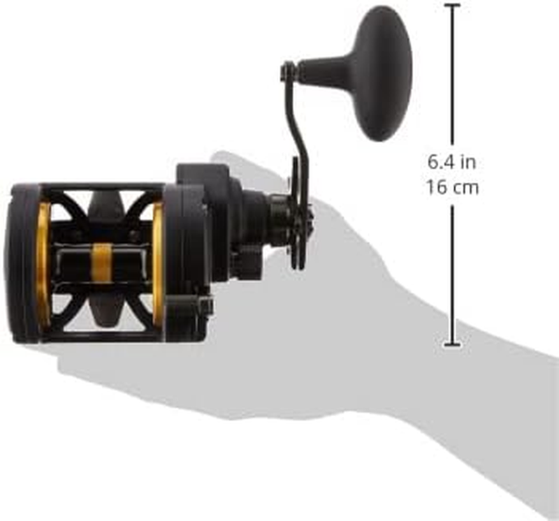 Fathom II Star Drag Conventional Fishing Reel, Black Gold, 25N
