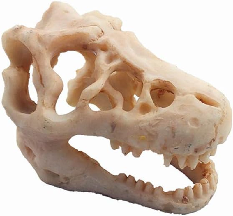 Aquarium Decoration Skeleton Hole Resin Artificial Dinosaur Skull Skeleton Ornament - Fish Tank Small Skull Aquarium Decorations Cave Landscape Pet Reptile House