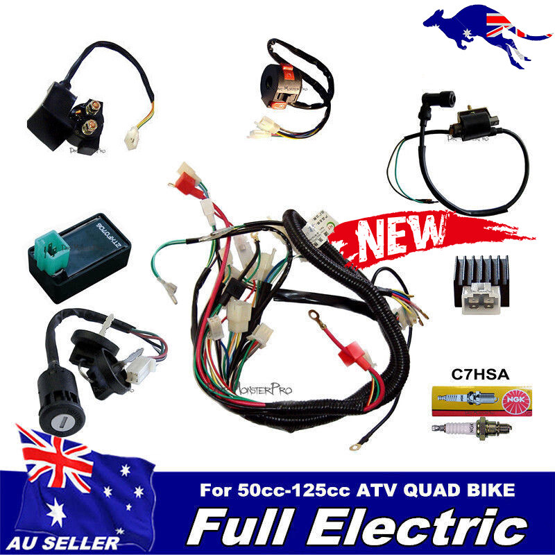 Quad Bike Cdi Wiring Wiring Schematic Diagram 15 Diddlhausen