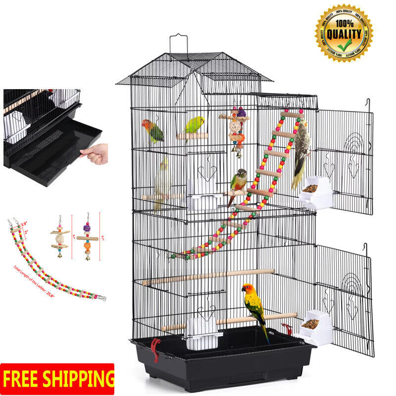 Cockatiel Parrot Parakeet Home Playground