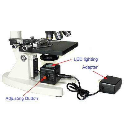 Microscopes Lab Equipment Microscope Illuminator
