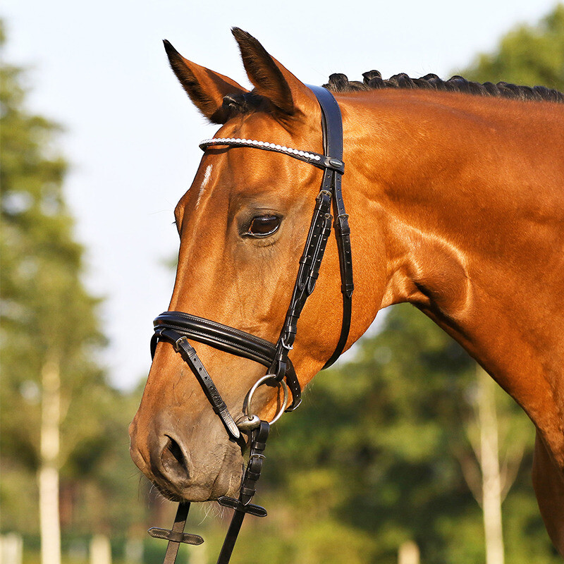 Euroriding® Trensenzaum Royan Diamonds