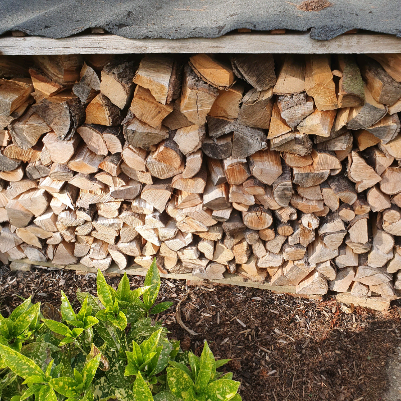 Logs for sale in Bournemouth, Dorset Gumtree