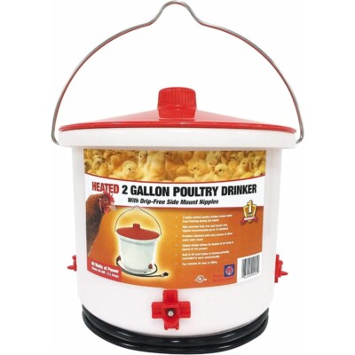 Thermostatically Controlled Heated 2 Gallon Poultry Chicken Water Bucket Drinker